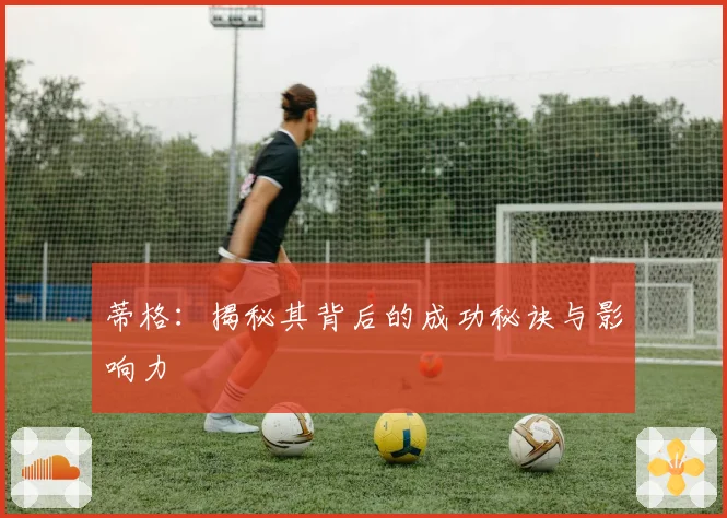 蒂格:揭秘其背后的成功秘诀与影响力